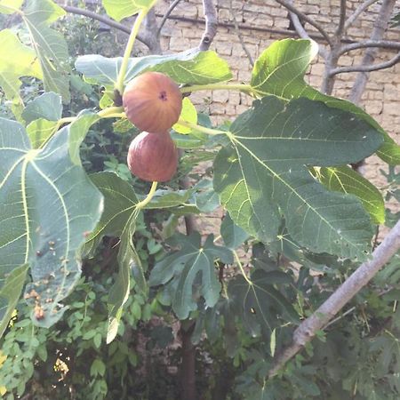 Fig Tree Barn Gibourne Exterior foto