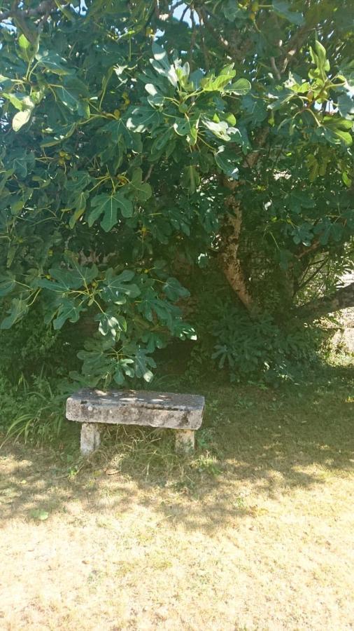 Fig Tree Barn Gibourne Exterior foto